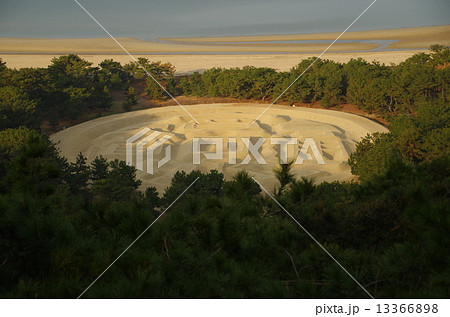 銭形砂絵 13366898