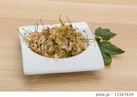 White currant 13367639