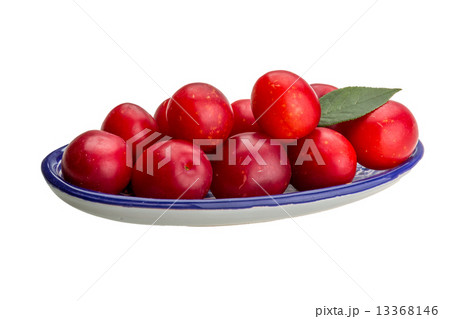 Damson plum 13368146