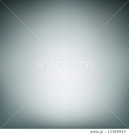 13369954