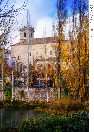 Vertical autumn landscape 13370334