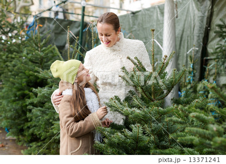girl with mom choosing New Year's tree girl with mom choosing New Year's tree 13371241