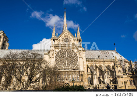 パリ　ノートルダム寺院  13375409