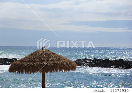 ハワイの海 オアフ島コオリナ ハワイの海 オアフ島コオリナ 13375950