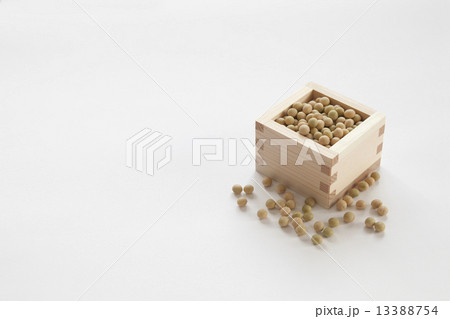 節分 節分 13388754