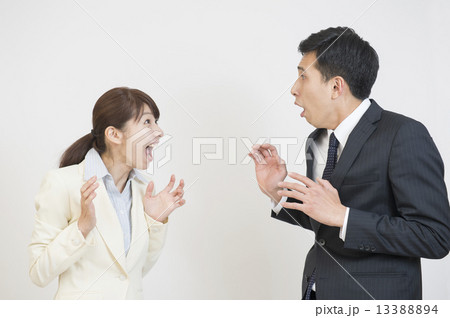 ビジネスマンとビジネスウーマン ビジネスマンとビジネスウーマン 13388894