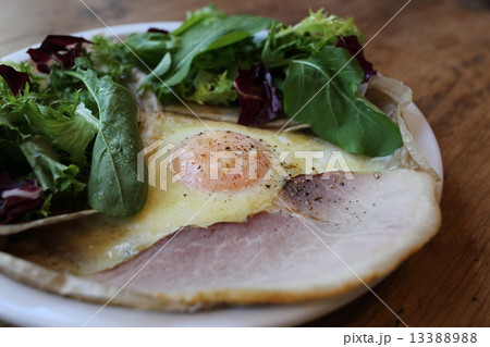 ハムエッグ ハムエッグ 13388988