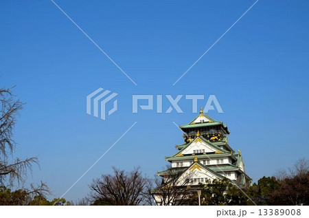 大阪城　天守 13389008