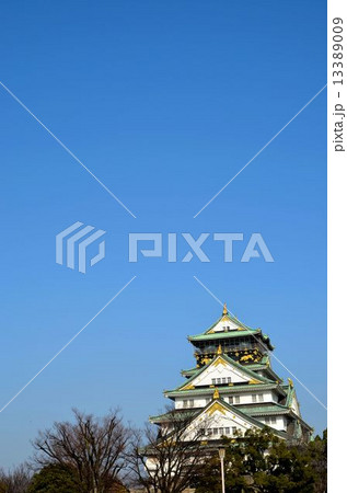 大阪城　天守 13389009