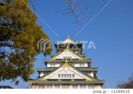 大阪城　天守 13389016