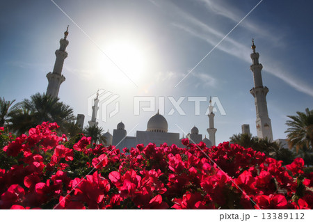 Sheikh Zayed mosque in Abu Dhabi, United Arab Emirates, Middle East 13389112