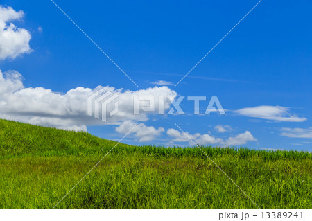 夏空と雲と田園風景 13389241