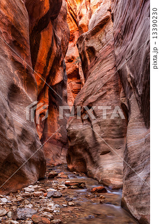 Kanarra creek slot canyon in Zion national park, Utah 13390230