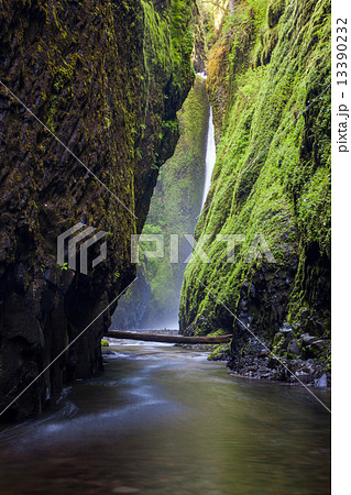 Oneonta falls in Columbia river gorge, Oregon Oneonta falls in Columbia river gorge, Oregon 13390232
