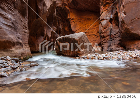 Hiking in The Narrows, Zion national park, Utah Hiking in The Narrows, Zion national park, Utah 13390456