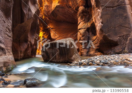 The Narrows trail, Zion national park, Utah, Zion National Park, 13390558