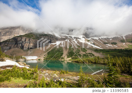 Iceberg lake trail, glacier national park 13390585