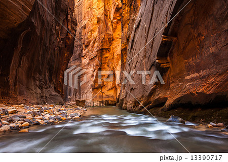 Glowing Sandstone wall, The Narrows, Zion national park, Utah Glowing Sandstone wall, The Narrows, Zion national park, Utah 13390717