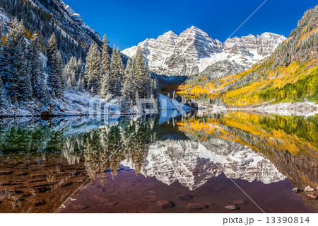 winter and Fall foliage at Maroon Bells, CO winter and Fall foliage at Maroon Bells, CO 13390814