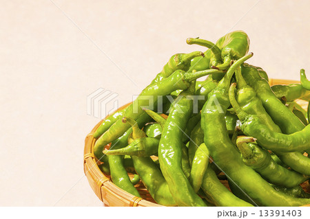 夏野菜・甘長ピーマン 13391403