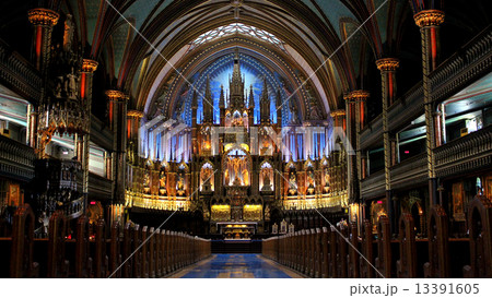 美しいノートルダム 13391605