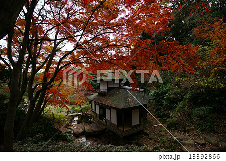 横浜三渓園　聴秋閣 13392866
