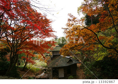 横浜三渓園　聴秋閣 13392867