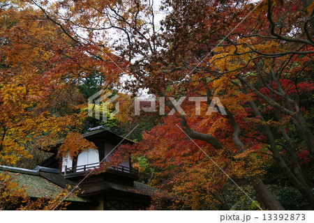横浜三渓園 聴秋閣 横浜三渓園 聴秋閣 13392873