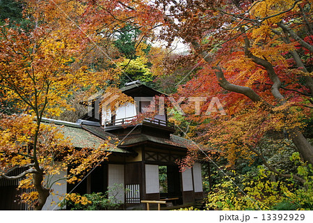 横浜三渓園 聴秋閣 横浜三渓園 聴秋閣 13392929