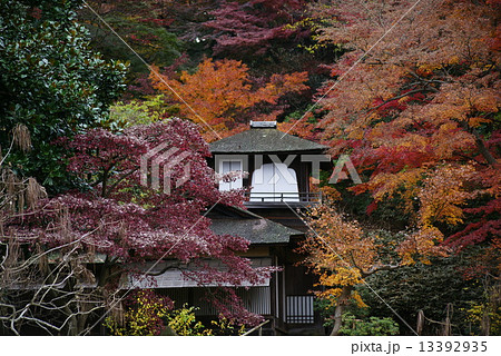 横浜三渓園　聴秋閣　 13392935