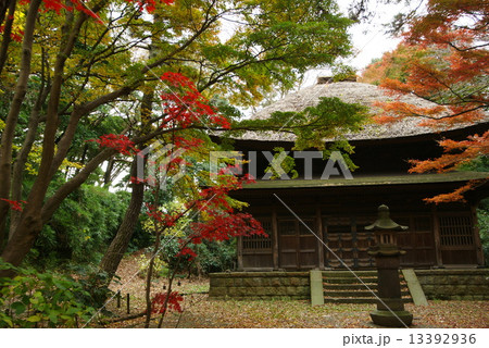 横浜三渓園　旧東慶寺仏殿 13392936