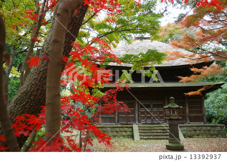 横浜三渓園 旧東慶寺仏殿 横浜三渓園 旧東慶寺仏殿 13392937