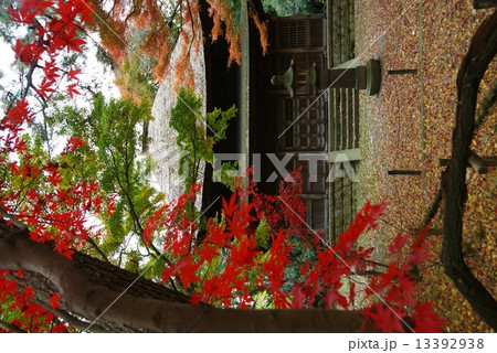 横浜三渓園　旧東慶寺仏殿 13392938