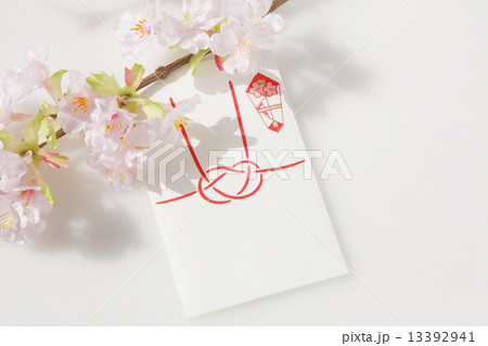 桜と祝儀袋 13392941
