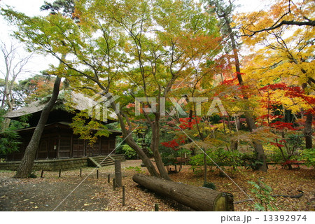 横浜三渓園　旧東慶寺仏殿 13392974