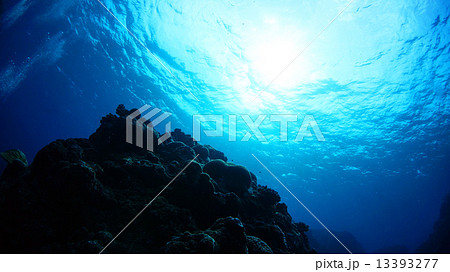 沖縄　久米島の海中風景 13393277