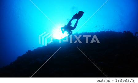 沖縄　久米島の海中風景 13393278