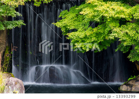 好古園 好古園 13393299