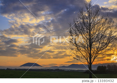 朝霧高原の日の出 朝霧高原の日の出 13393432