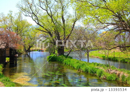 安曇野の水車小屋と蓼川 安曇野の水車小屋と蓼川 13393534