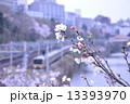 市ヶ谷にて桜越しの電車 13393970
