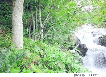 北海道の道南、長流川支流の三階滝川から緩やかに流れ落ちる美瀑、三階滝 13394562