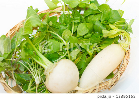 冬の食材イメージ～春の七草～ 13395165