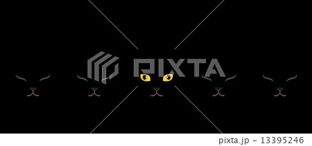 黄色い目の黒猫 13395246