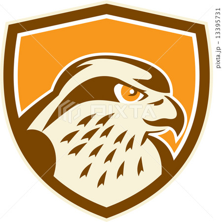 Peregrine Falcon Head Shield Retro Peregrine Falcon Head Shield Retro 13395731