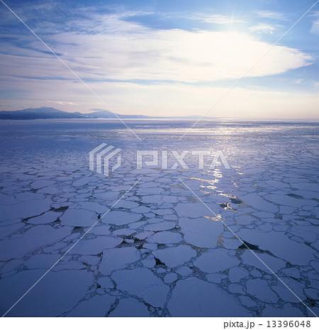 知床沖の流氷 13396048