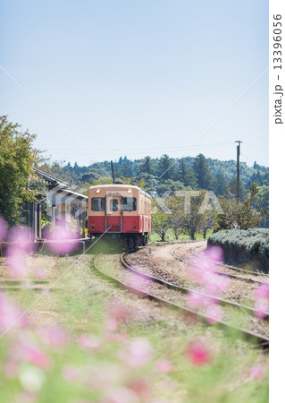 秋のちいさな駅 13396056