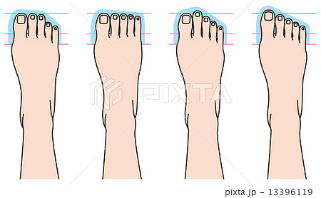 足の指の形のイラスト素材