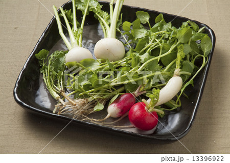 七草粥 1月7日 正月 伝統 日本 野菜 七草粥 1月7日 正月 伝統 日本 野菜 13396922