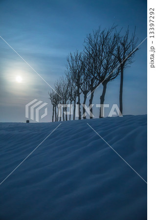 新潟県小千谷市 ハサ木と満月の雪景色 新潟県小千谷市 ハサ木と満月の雪景色 13397292